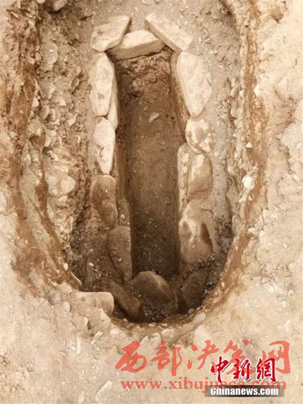 1498007316497533.jpg 4.jpg