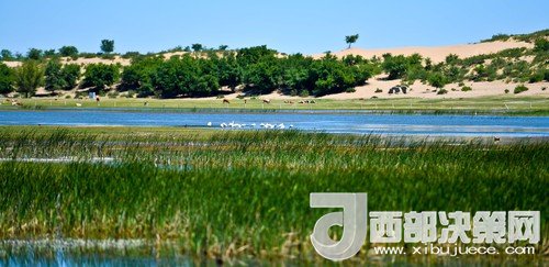 阿魯科爾沁保護(hù)區(qū)濕地沙丘。吳勇攝