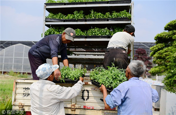 數(shù)字經(jīng)濟(jì)已經(jīng)成為我國(guó)經(jīng)濟(jì)社會(huì)更好發(fā)展的重要推動(dòng)力，也為我國(guó)鄉(xiāng)村發(fā)展提供了新的歷史機(jī)遇。（圖片來源：視覺中國(guó)）