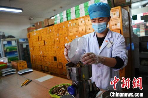 疫情發(fā)生以來，甘肅確保所有病例盡早、及時、全程使用中醫(yī)中藥，努力做到“一患一方案”。(資料圖) 楊艷敏 攝