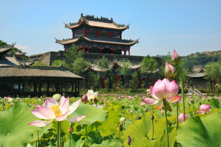 【云游渭南】心中若有桃花源，此處便是水云間！待疫情散盡，一起來渭南桃花源賞美景、觀民俗、享美食_fororder_2